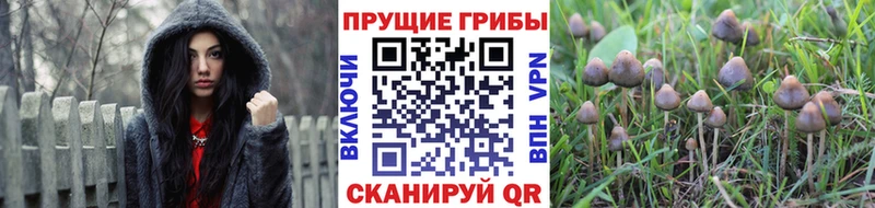 закладка  KRAKEN сайт  Галлюциногенные грибы GOLDEN TEACHER  Борисоглебск 